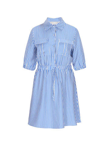 Usha Women Dress in blue