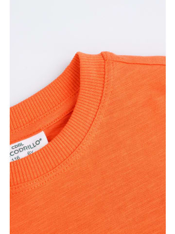 Coccodrillo T-Shirt mit kurzem Ärmel in orange
