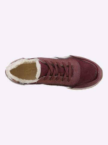 Heine Sneaker in bordeaux