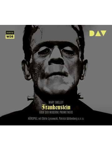 Der Audio Verlag Frankenstein oder Der moderne Prometheus | Hörspiel mit Dörte Lyssewski,...