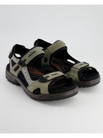 Ecco Sandalen in Grau