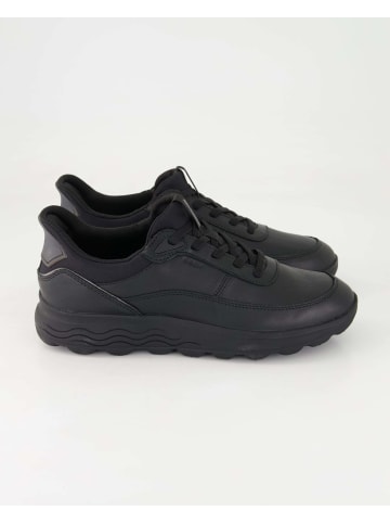 Geox Sneaker low in Schwarz