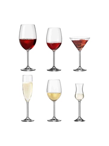 LEONARDO 36er Set Wein- und Sektgläser Daily transparent in transparent