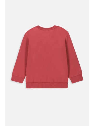 Coccodrillo Langärmeliges T-shirt in dunkelrot