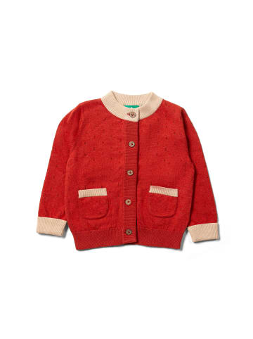 Little Green Radicals Gestrickte Strickjacke in Rot