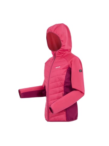 Regatta Softshelljacke Andreson VIII Hybrid in Beere