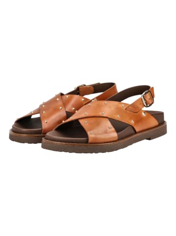 Pikolinos Sandalen in Brandy