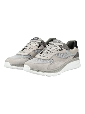 Geox Sneaker in Hellgrau