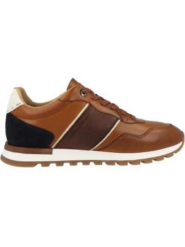 La Martina Sneaker low LFM261 in braun