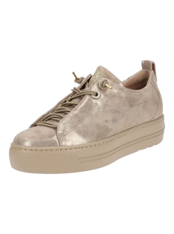 Paul Green Sneaker in Champagne