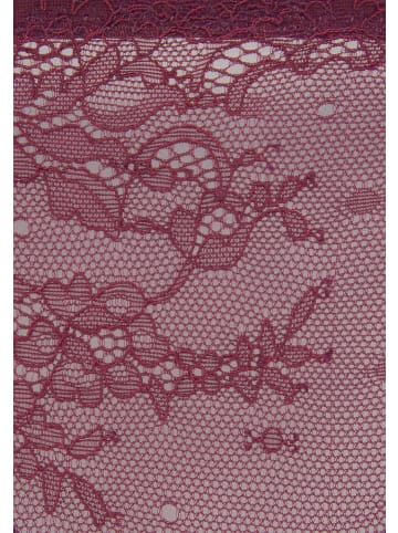 LASCANA String in aubergine