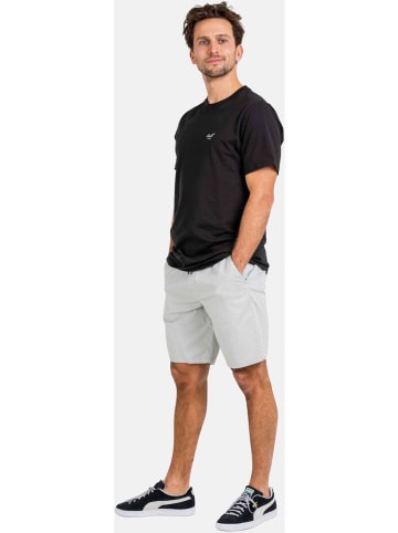 Reell Short "Reflex Easy Short LW" in Grau