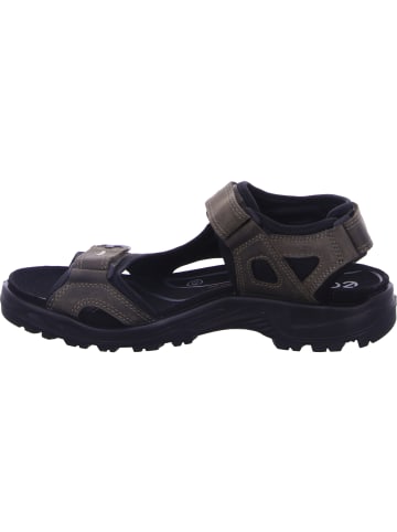 Ecco Outdoorsandalen Offroad in tarmac