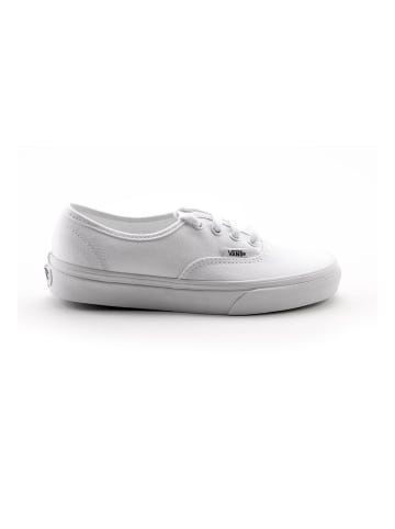 Vans Sneaker Authentic in Weiß