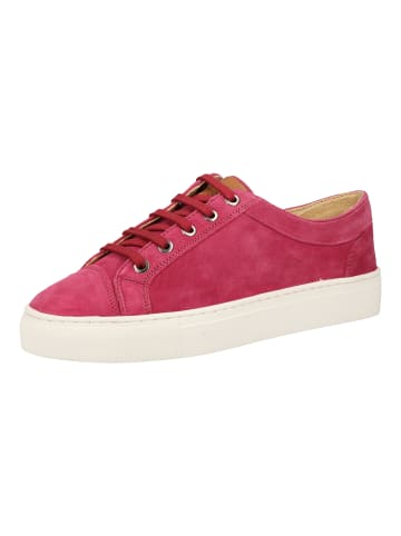 Sansibar Sneaker in Pink