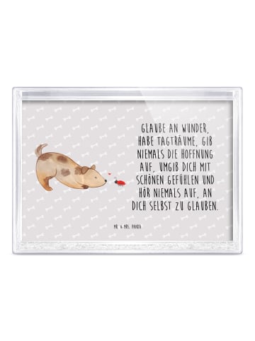 Mr. & Mrs. Panda Bilderrahmen Hund Marienkäfer mit Spruch in Grau Pastell