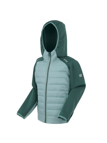 Regatta Kielder IX Hybrid Jacke in Mint