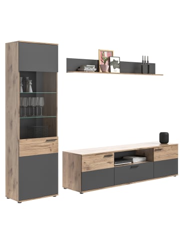 xonox.home Wohnkombination  (B/H/T: 266x200x47 cm) in Nox Oak Nachbildung und Basalt grau