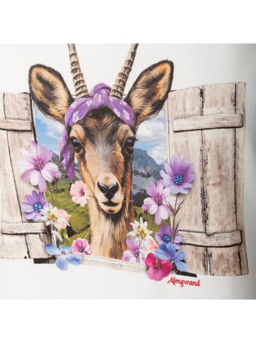 Almgwand Miesenbachalm in Weiß