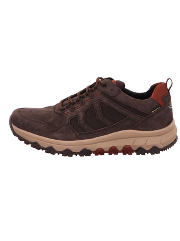 Gabor Sneaker Low in braun