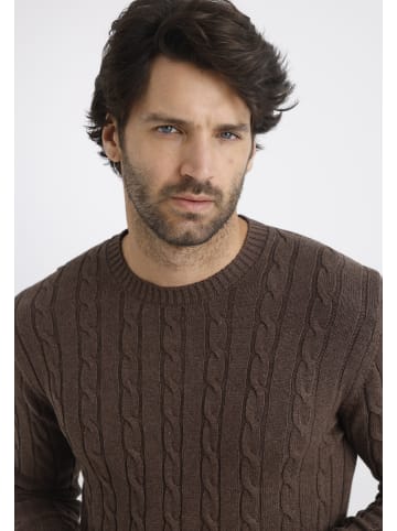 Felix Hardy Pullover in braun