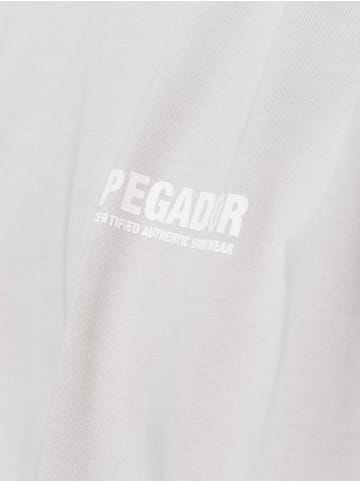 PEGADOR T-Shirt Clinton in kitt