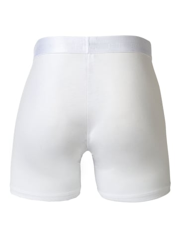 HOM Boxershort 2er Pack in Weiß