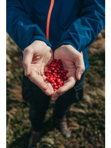 GARDENZO 3er-Set: Beeren in Rot