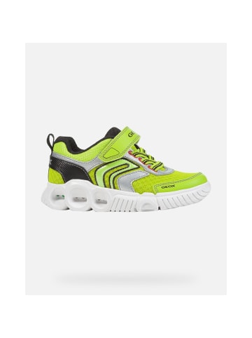 Geox Boy - in Limette/Schwarz