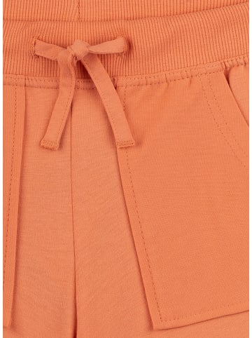 Sanetta Shorts in Orange