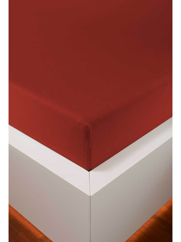 bellana jersey Spannbetttuch Nobel-Jersey  Elasthan Spannbetttuch in kupfer