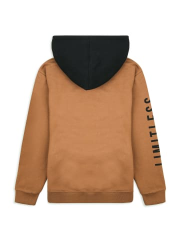 Threadboys Kapuzensweatshirt Honest in braun
