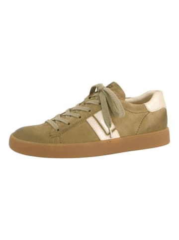 Paul Green Sneaker in Grün/Gold