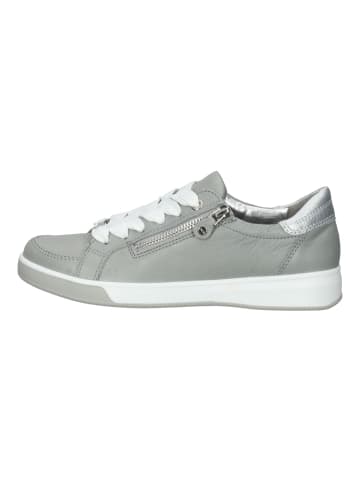 ara Sneaker in Hellgrau/Silber