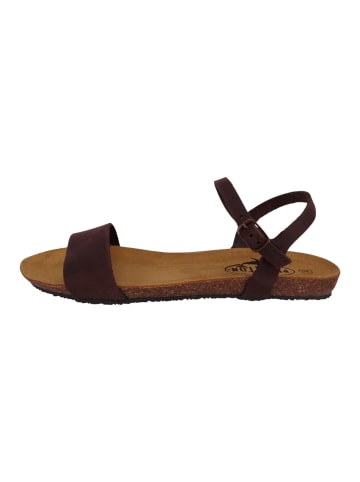 Plakton Sandalen braun