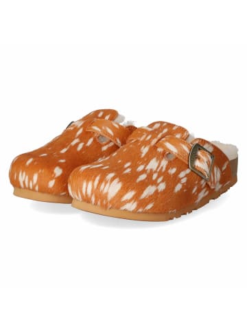 Australia Luxe Collective Clogs BERLIN in braun