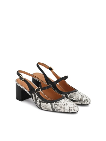 Kazar Pumps in Schwarz