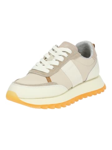 GANT Footwear Sneaker in Taupe