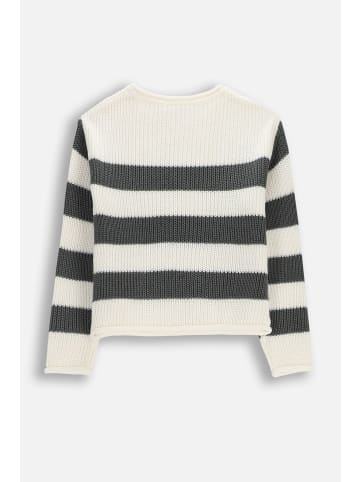 Coccodrillo Strickpullover in schwarzgrau