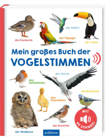 ars edition Liederbuch Mein großes Buch der Vogelstimmen, ab 24 Monate