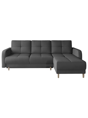 MF Design Roxana in Asphalt -  (L) 165 x (B) 240 x (H) 90 cm