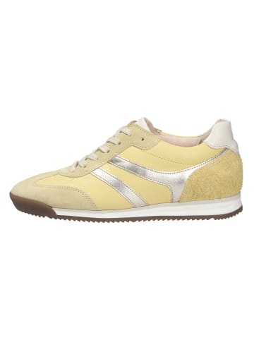 Gabor Sneaker in gelb