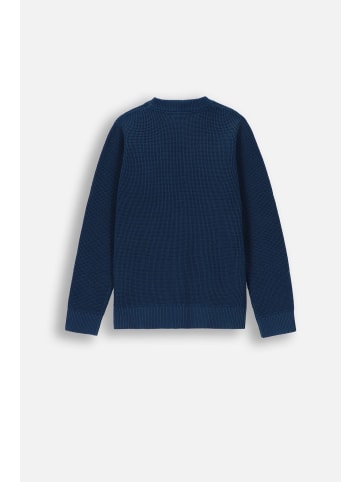 Coccodrillo Strickpullover in blau