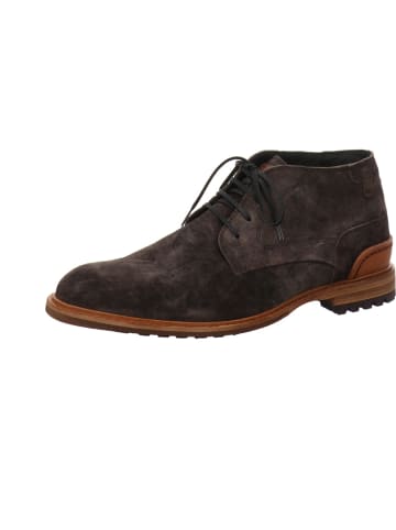 Floris van Bommel Schnürstiefeletten in dunkelbraun