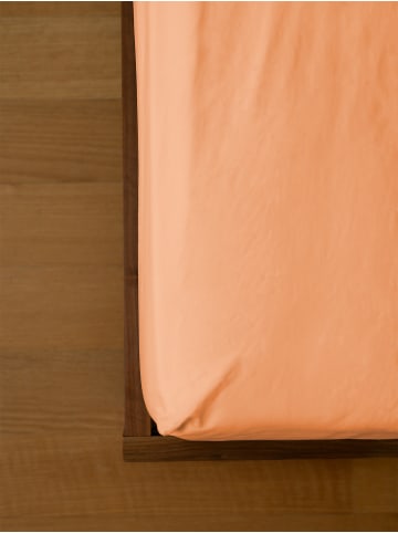 Erlich Textil Cotton Select Spannbettlaken aus Bio-Baumwolle - Fadendichte 200 in papaya