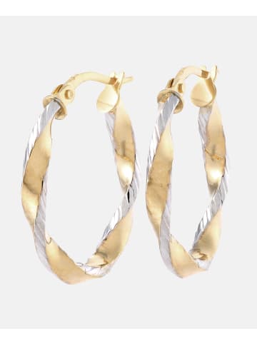 Vanlere Creolen aus 375 Gelbgold
