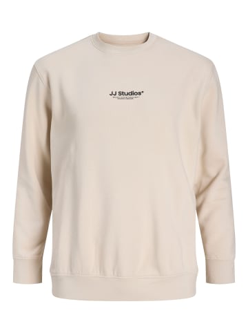 JACK & JONES PLUS Sweatshirt in Moonbeam