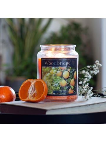 Woodbridge Duftkerze Woodbridge "Orange Grove"