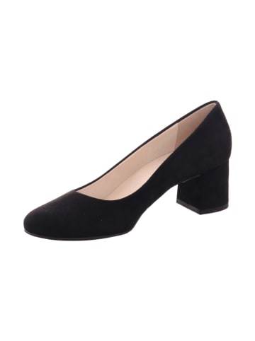 Paul Green Pumps bis 45 mm 0073-3554-013/Pumps in  Schwarz