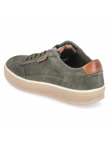 Bullboxer Low Sneaker in grün